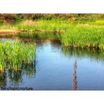 Instagram pictures of nature     ,   hdr    igdv  igrussia  igprimorye  